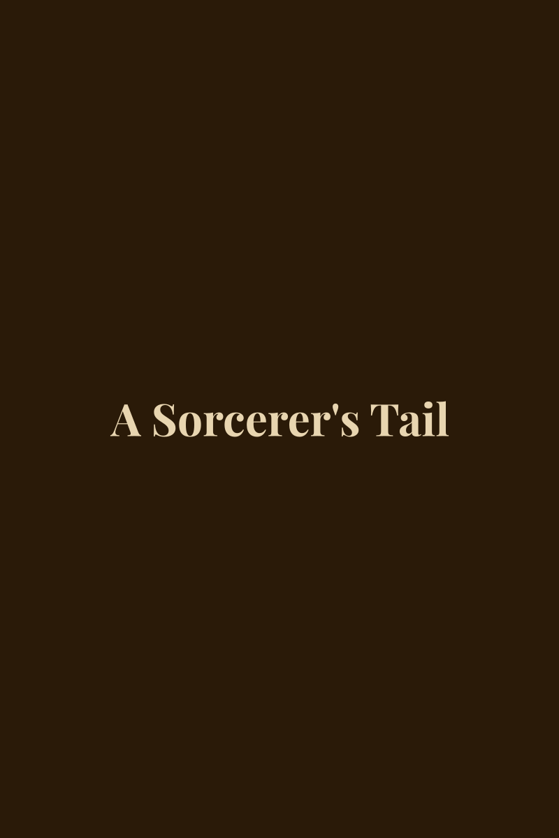 Cover of A Sorcerer's Tail